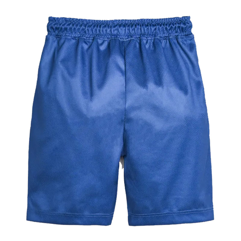 Blue Mesh Short